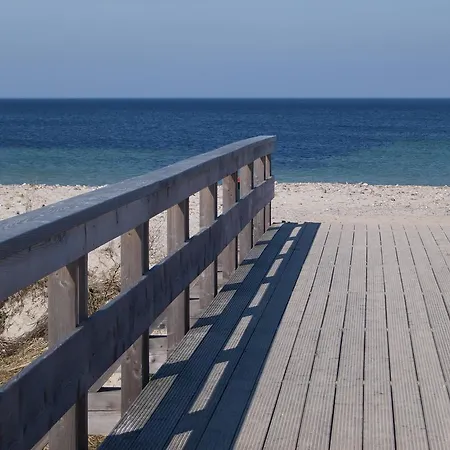 Strandläufer
