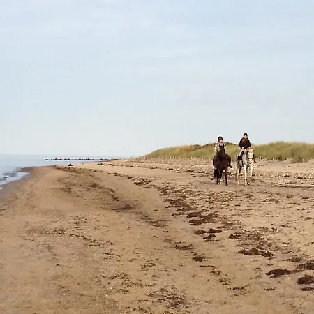 Strandlaeufer * Börgerende-Rethwisch