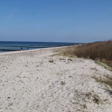 Strandlaeufer Börgerende-Rethwisch