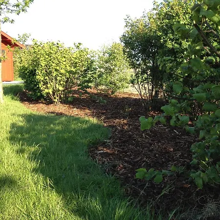 Strandlaeufer Apartament