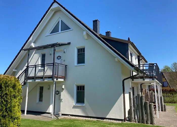 Strandlaeufer