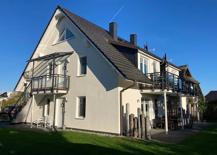 Strandlaeufer