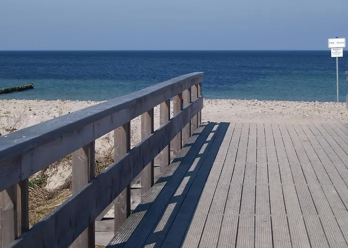 Strandlaeufer