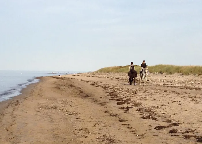 Strandlaeufer * 보르게렌데레트비슈