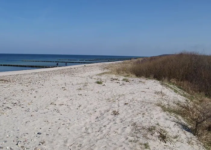 Strandlaeufer 보르게렌데레트비슈
